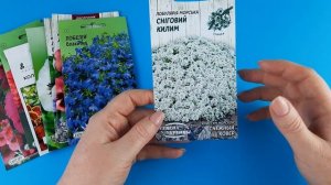 Семена  цветов на 2022 год / Обзор семян неприхотливых цветов / Однолетники цветущие все лето