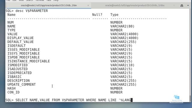 30-Curso de Administración de Oracle 19c: Cambiar parametros a nivel de sesion смотреть онлайн