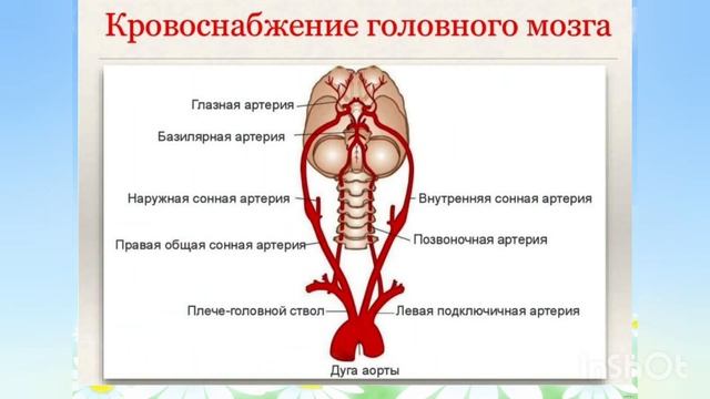 КРИВОШЕЯ- причина ЗАДЕРЖКИ РЕЧИ у детей. Помочь можно! смотреть онлайн