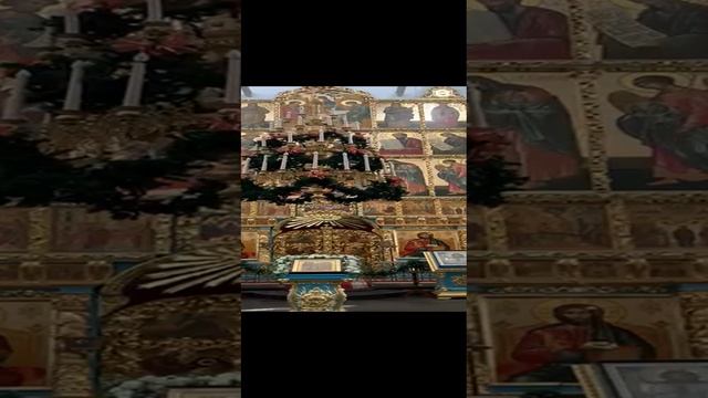 VID-20230118-WA0019.mp4 смотреть онлайн