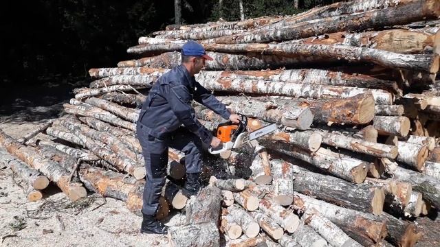 Пилит брёвна на дрова смотреть онлайн