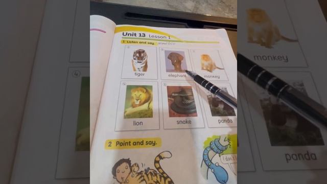 Sunrise 4:students Book ? Unit 13 lesson 1 AshnaMohammad смотреть онлайн