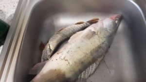 Как легко и быстро чистить судака от чешуи.
