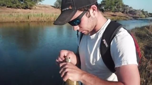 smallmouth Bass fishing with shallow running crankbaits смотреть онлайн