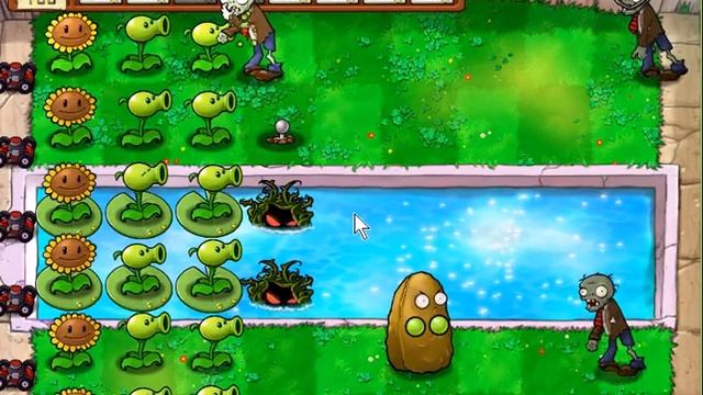 Plants Vs Zombies Pool