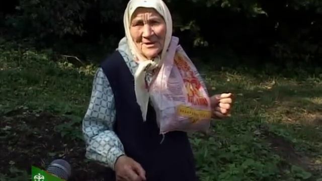 Благоустройство. Село Палатово смотреть онлайн