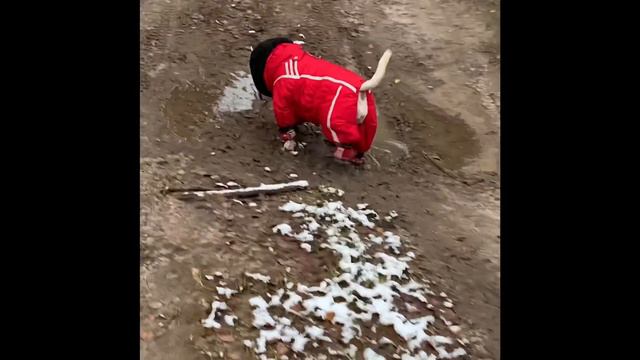 Идём в поход в новом костюмчике смотреть онлайн