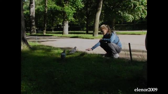 Петергоф. Чем кормить белок. смотреть онлайн