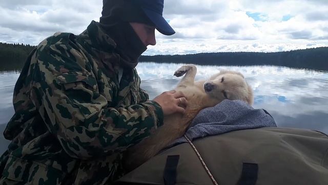 Рыбалка в Карелии. Сезон открытой воды 2019. смотреть онлайн