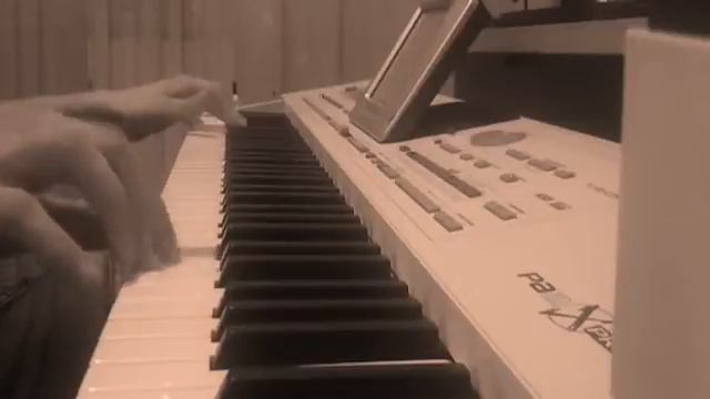 Damir Nezirovic korg pa2xpro Presentation смотреть онлайн