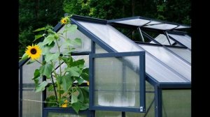 Как сделать форточки в теплице из поликарбоната