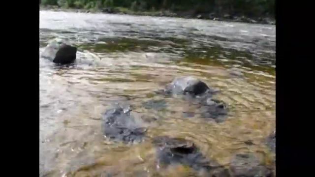 Ципа 2010 смотреть онлайн