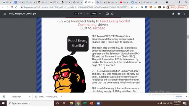 CRYPTO: Heard about FEGToken? A new DeFI token worth looking at смотреть онлайн
