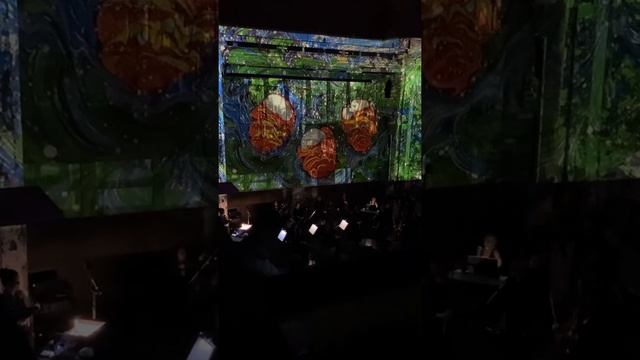Вивальди в исполнении оркестра Olympic Orchestra. #анненкирхе #санктпетербург смотреть онлайн