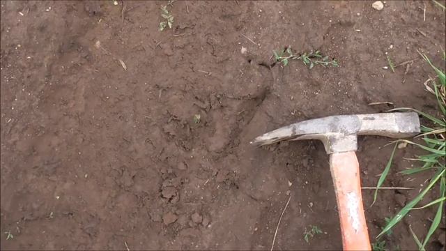 PERELIVT смотреть онлайн