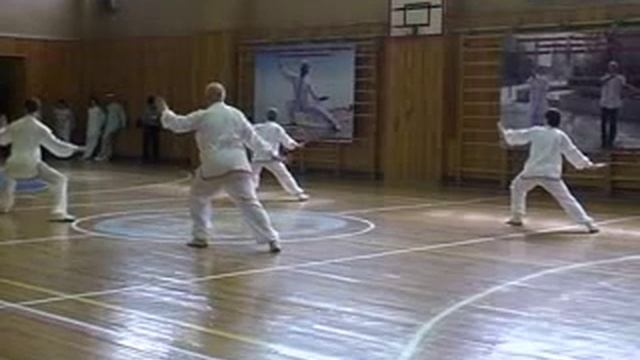 FEDERATION DONGYUE_2nd Set Dongyue Taijiquan.flv