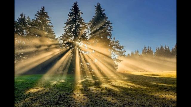 КРАЙОН: ЦЕЛИТЕЛЬНАЯ СРЕДА, МЕДИТАЦИЯ 06.09.2023 смотреть онлайн