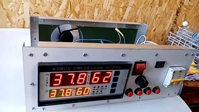 Инкубатор своими руками / Жить дешево и сердито смотреть онлайн