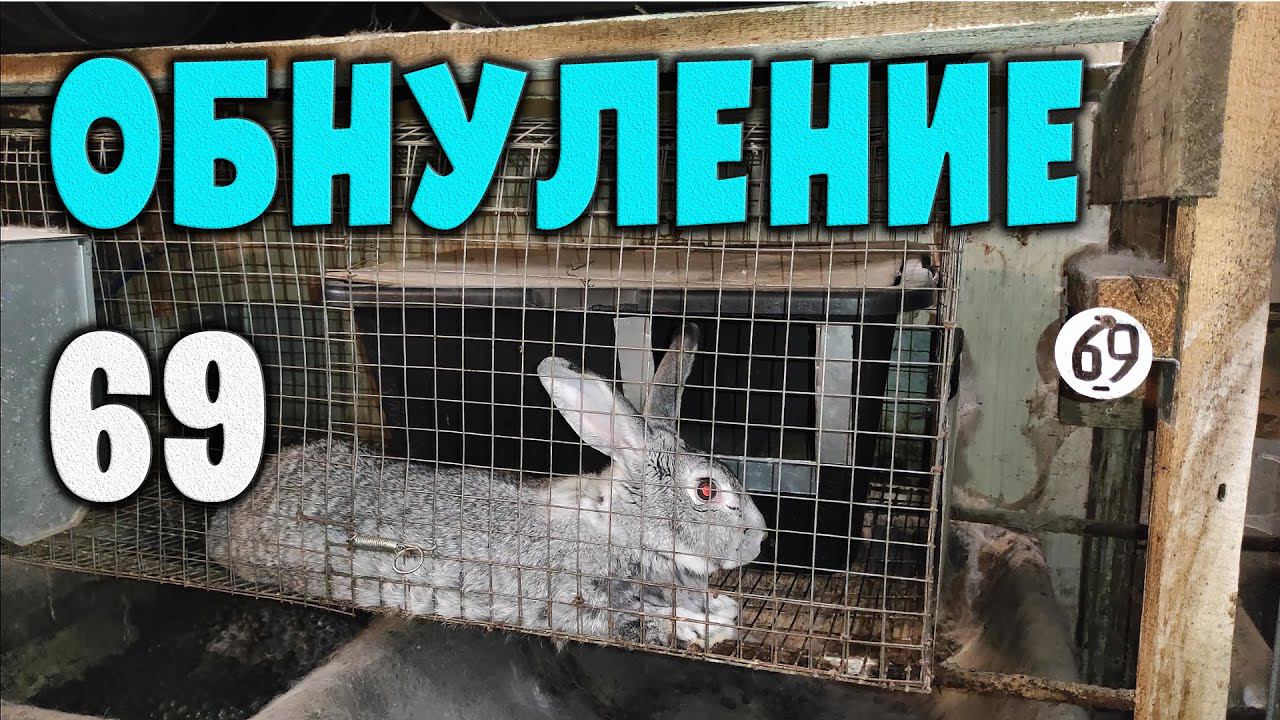 Обнуление 69 смотреть онлайн