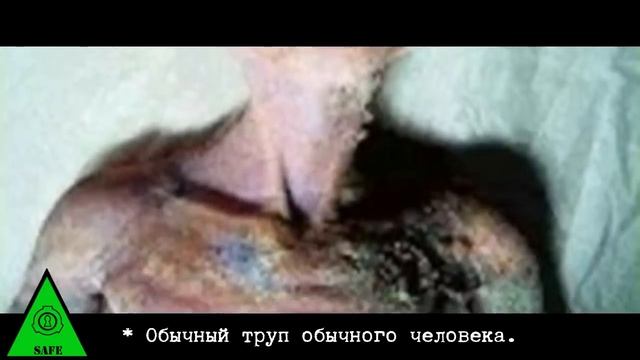 SCP-2013 - Рептилоидный мем смотреть онлайн
