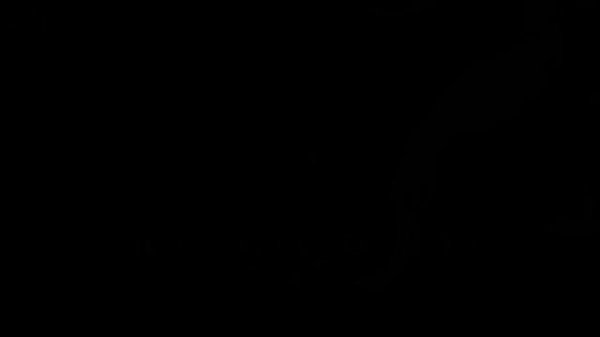 All Techniques Showcase ⏐ Jujutsu Infinite