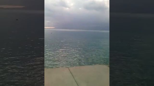 Рыбалка в Анталии , конец декабря 2016 смотреть онлайн