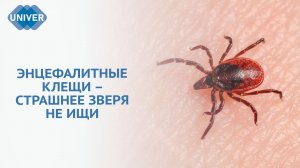 КАК СПАСТИ СЕБЯ ОТ КЛЕЩЕЙ?