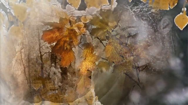 ПРОКАЗЫ НОЯБРЯ смотреть онлайн