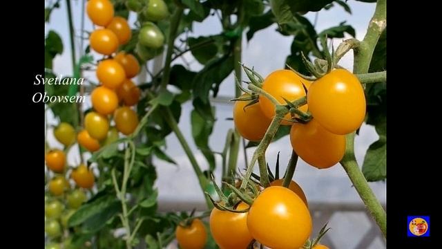 Архитектурный Мир