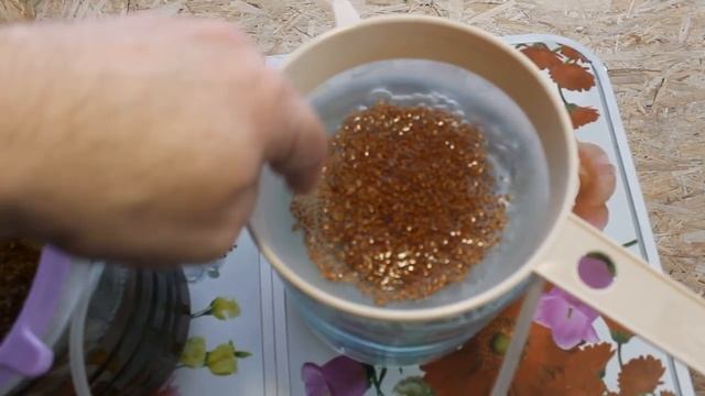 Кресс салат, люцерна на гидропонике. смотреть онлайн