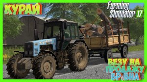 ✅Farming Simulator 17 КУРАЙ КУДА ПРОДАТЬ БРЁВНА#fs17 #фс17