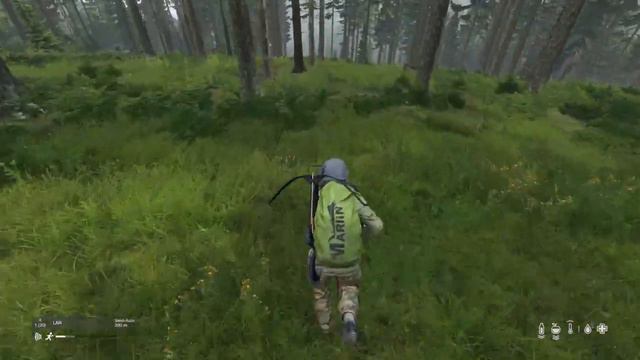 DayZ Hunting, Remember to Always Bring A Friend смотреть онлайн