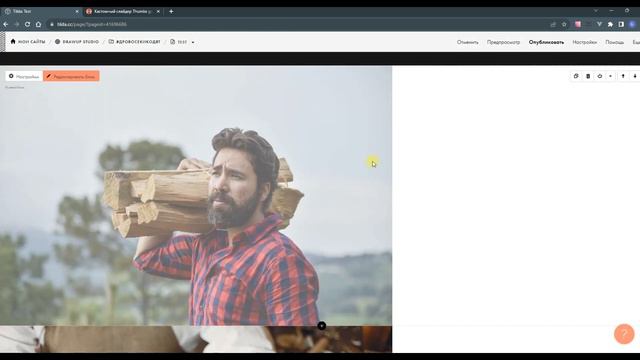 Кастомный слайдер Thumbs Gallery Loop для Tilda
