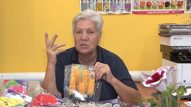 Голова садовая - Все о растении ширяш смотреть онлайн