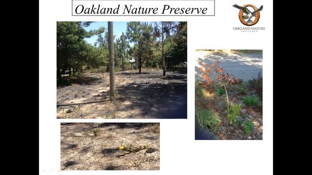 Bird Chat: Oakland Nature Preserve by the Bird Chats Team смотреть онлайн