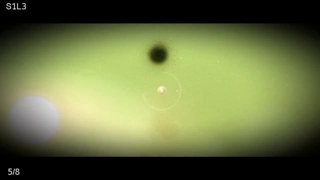 Element4l - All Lost Sparks - Part 1 Heart ( Treasure Hunter Achievement Guide ) смотреть онлайн