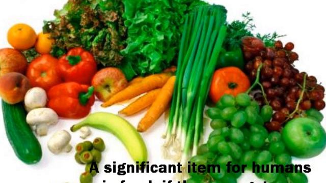 Robotopia School Project смотреть онлайн