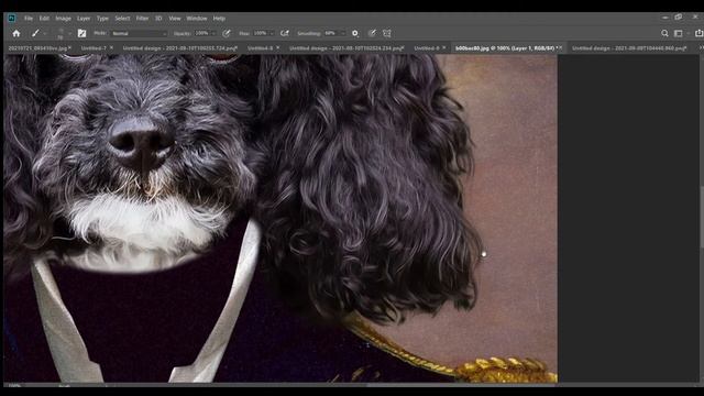 Royal Pet Portrait in 5 MINUTES/ Quick and Easy смотреть онлайн