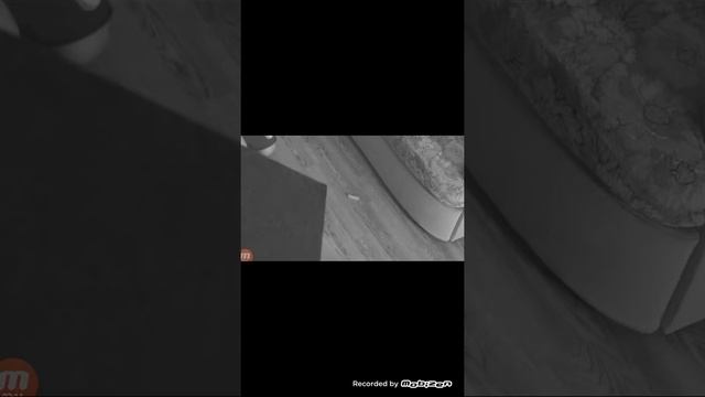 Реакция на браина НК фотошоп в реальной жизни! смотреть онлайн