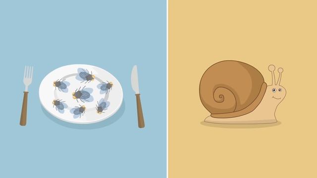 Wir Haben Hunger, Hunger, Hunger - Kinderlieder Zum Mitsingen | Sing Kinderlieder