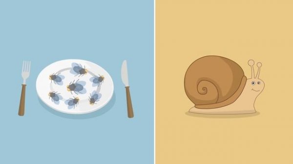 Wir haben Hunger, Hunger, Hunger - Kinderlieder zum Mitsingen | Sing Kinderlieder