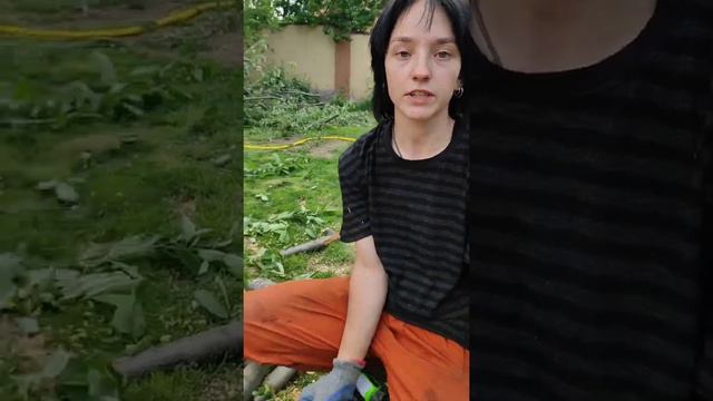 Как правильно пилить бензопилой или любой цепной пилой? Когда пилить сверху, а когда снизу. смотреть онлайн