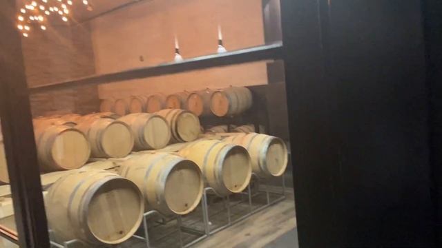 Нови-сад, Фрушка-гора, 120 гектаров яблонь, дегустация, село, винтажные игровые автоматы. смотреть онлайн