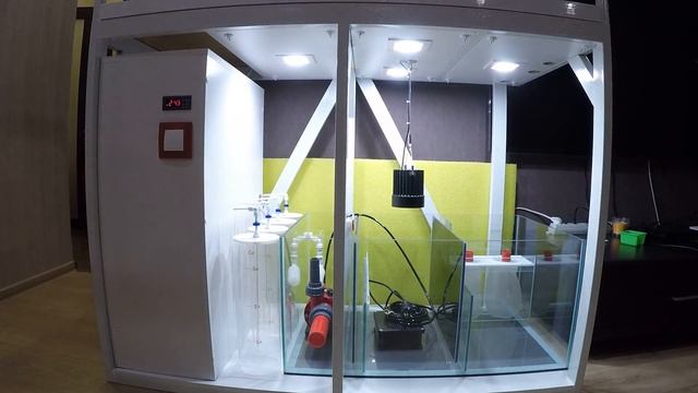 Свет в сампе / Light in sump смотреть онлайн