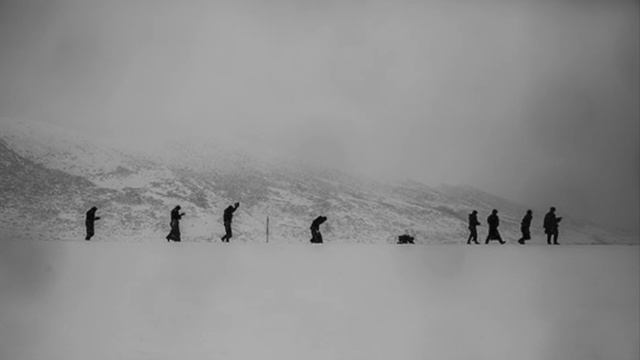 Dans Taranesc смотреть онлайн