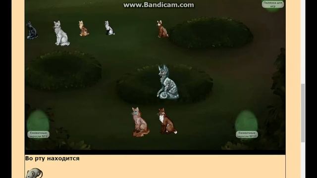 Как получить подарочную мышку в КэтВаре [CatWar]