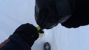 Ловля судака зимой на блесну на Обском море.