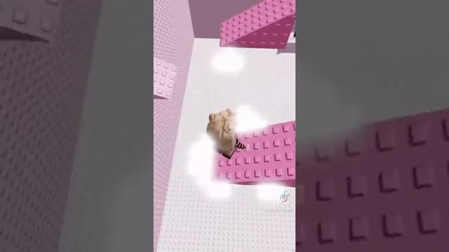 Roblox, крутые карты в роблоксе. Видео не моё. Tik Tok смотреть онлайн