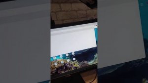 Тутор на войс чат без паспорта