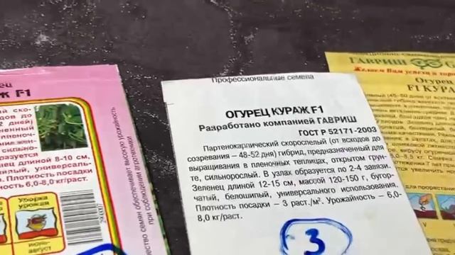 Сажаю только эти 3 сорта огурцов. Урожая за глаза и раздаю по друзьям. Лучшие 2022-2023 смотреть онлайн